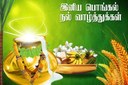 தைப் பொங்கல்