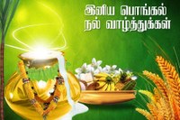 தைப் பொங்கல்