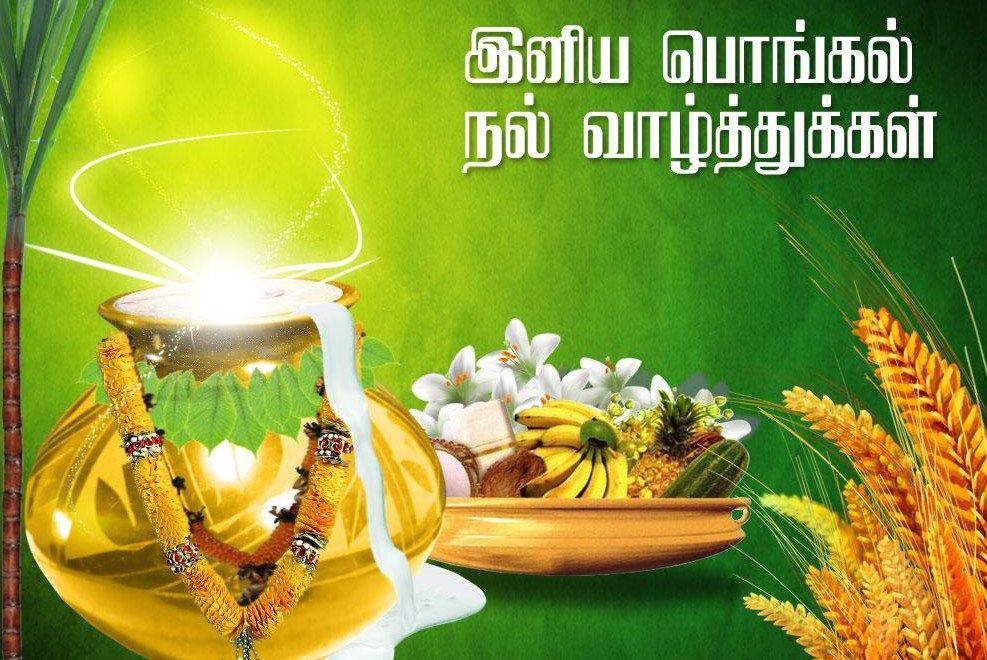 pongal.jpg